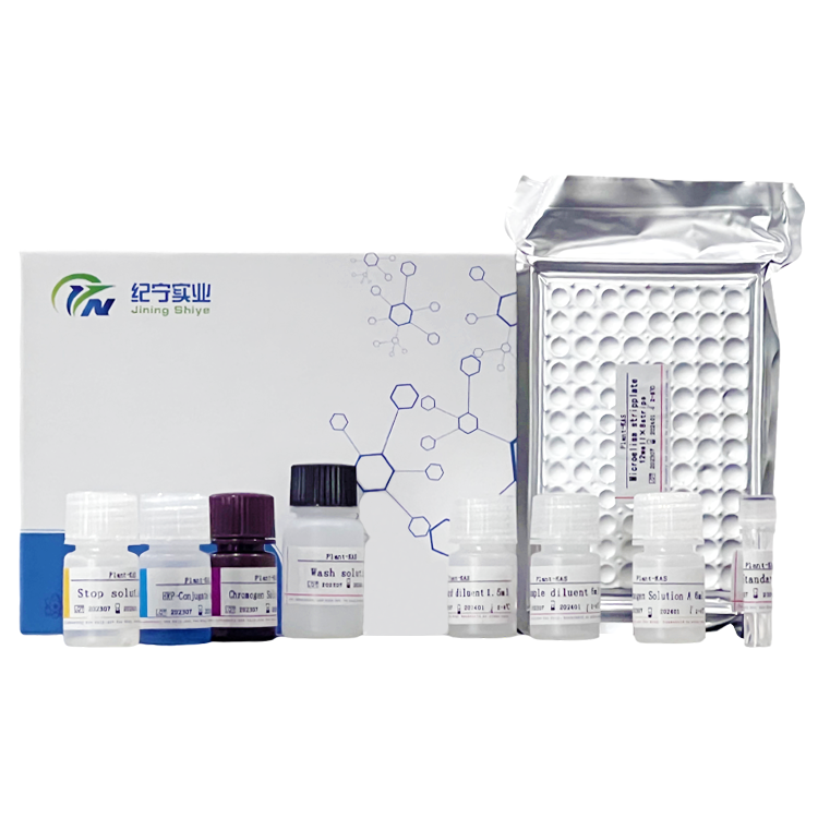大鼠毒蕈碱型乙酰胆碱受体(M-AChR)ELISA试剂盒