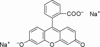 荧光素钠