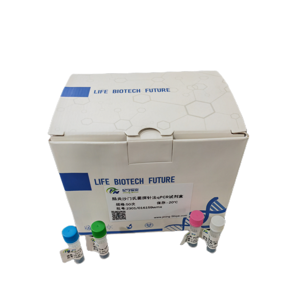 马流感病毒H3N8亚型染料法荧光定量RT-PCR试剂盒