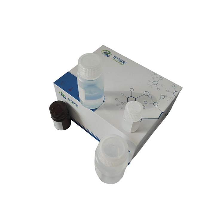 白蛋白含量检测试剂盒(溴甲酚紫显色法)/100T