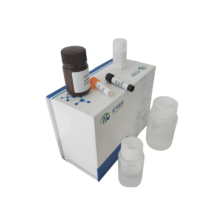 蛋白质游离巯基含量检测试剂盒/100T
