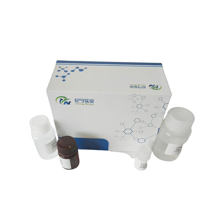蛋白质总巯基含量检测试剂盒/100T
