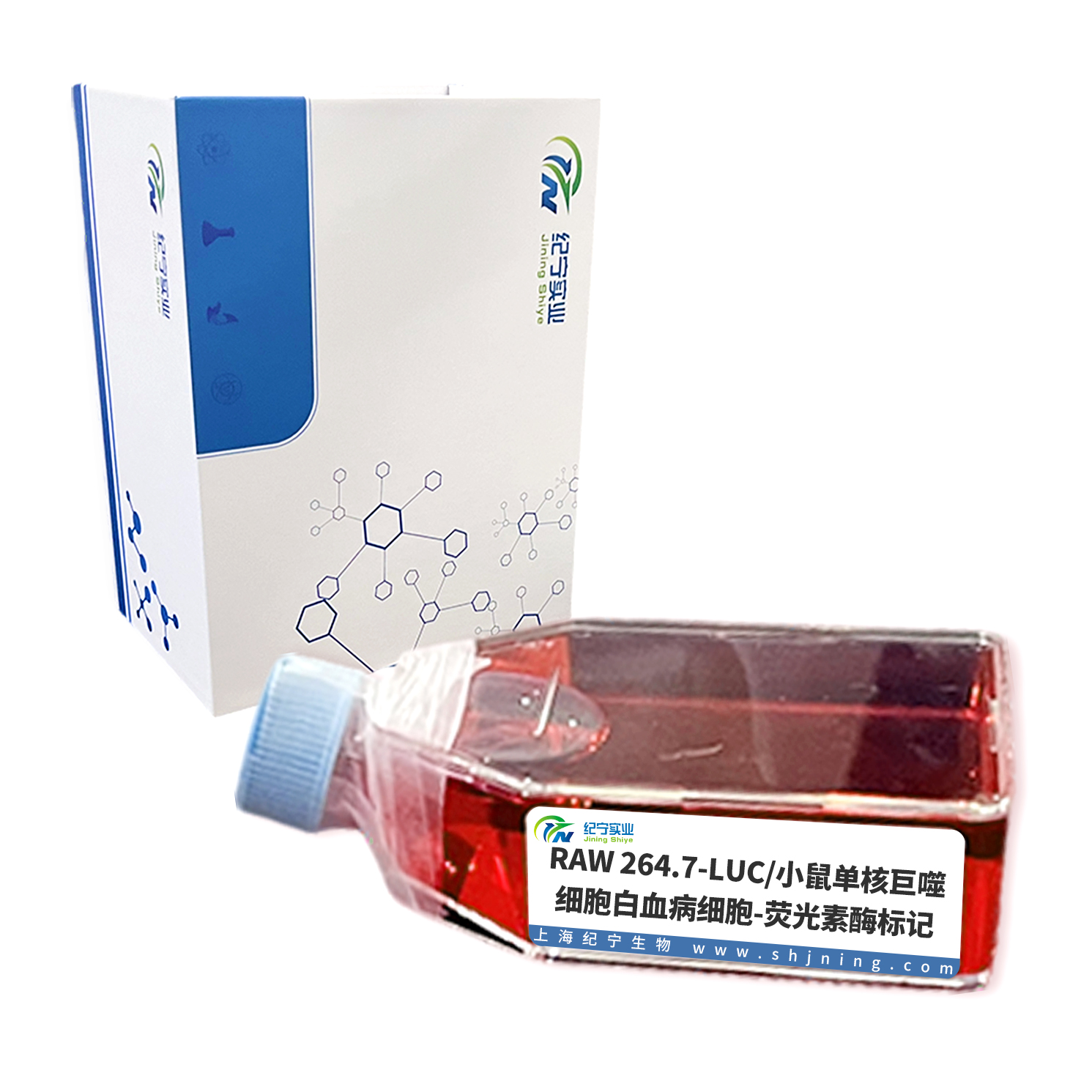 RAW 264.7-LUC/小鼠单核巨噬细胞白血病细胞-荧光素酶标记
