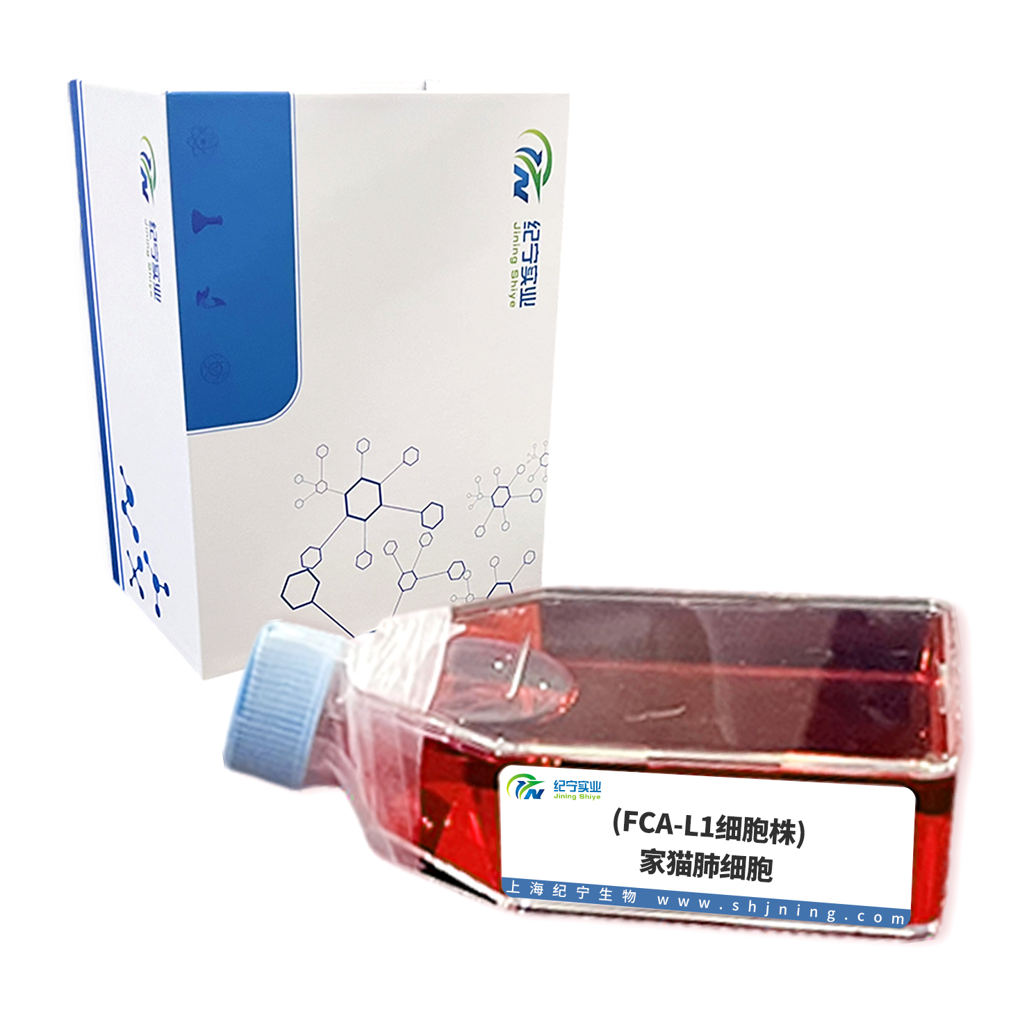 (FCA-L1细胞株)家猫肺细胞