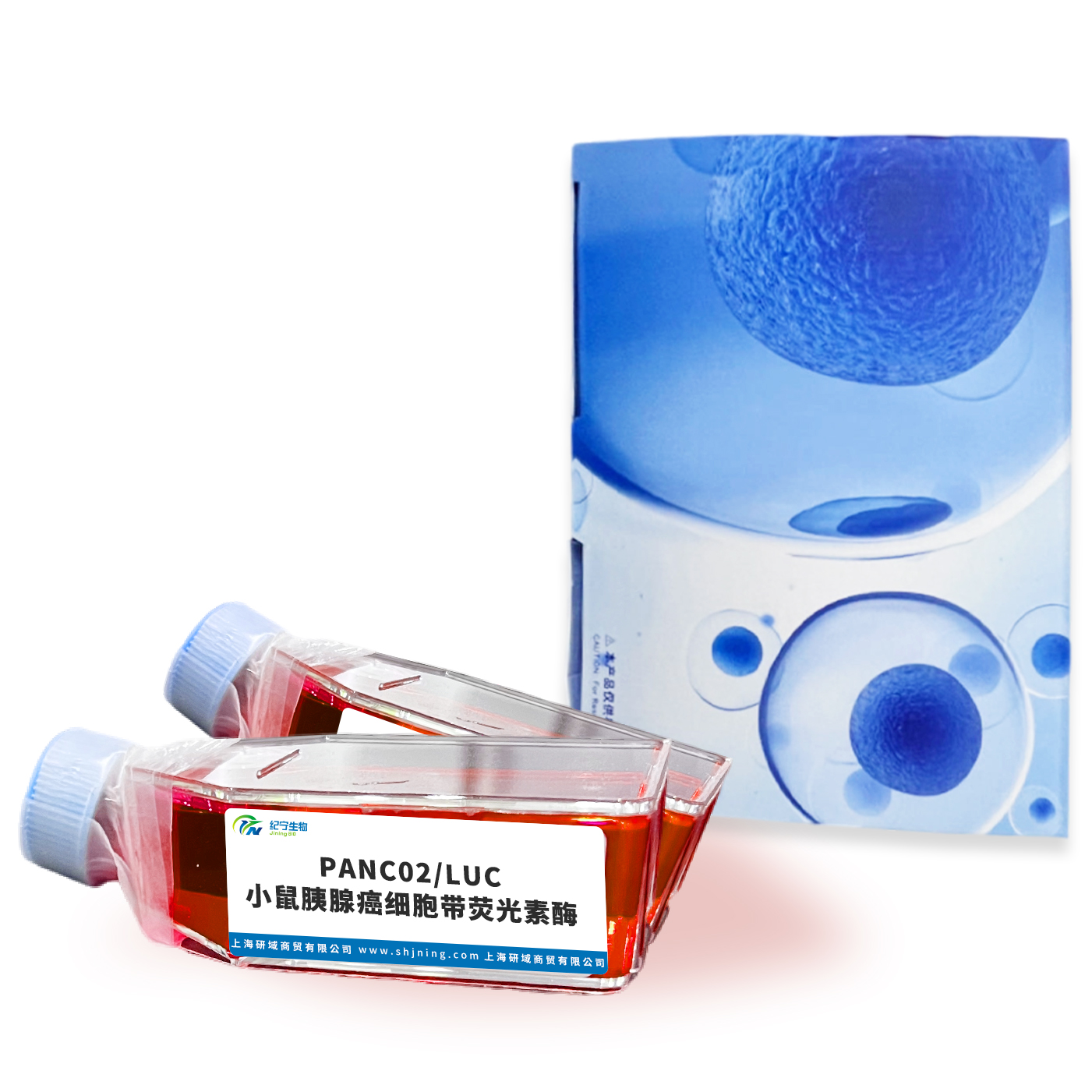 PANC02/LUC小鼠胰腺癌细胞带荧光素酶 