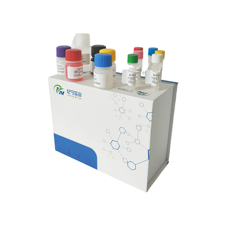 牛早孕相关糖蛋白-8 单抗(PAG-8 Mab)ELISA试剂盒