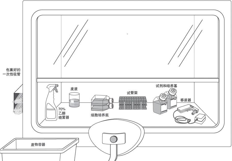 细胞培养设备工作流程