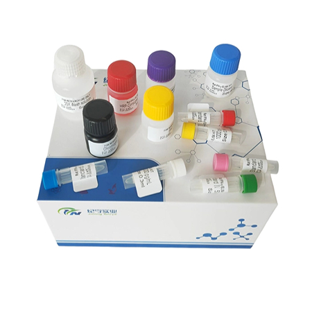 人糖原合成酶激酶(GSK)ELISA试剂盒
