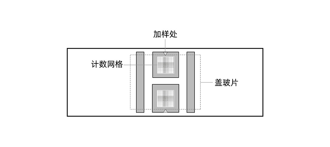 细胞计数板